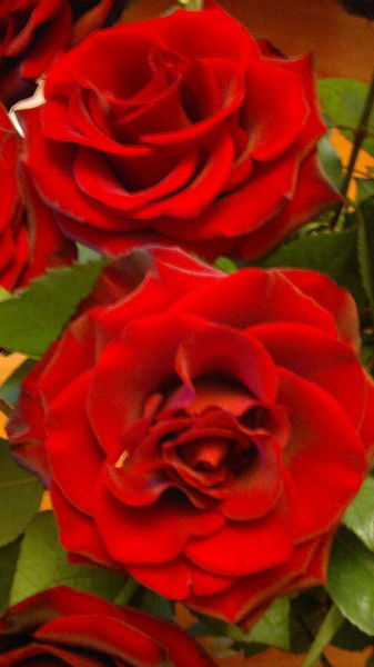 Людмила Качур