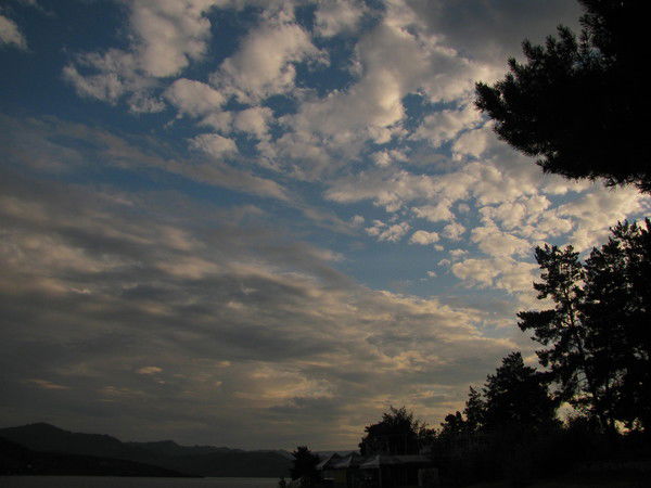 Ольга Турнаева (Степнова)