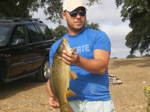 Александр Зражевский