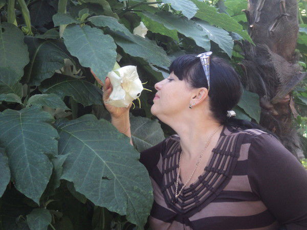 Наталья Харитонова