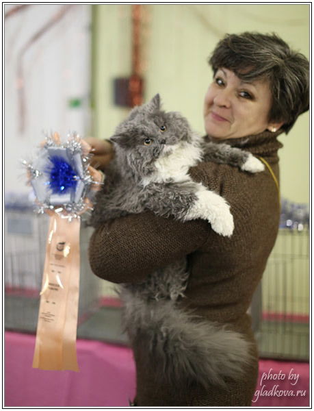 Светлана Козлова