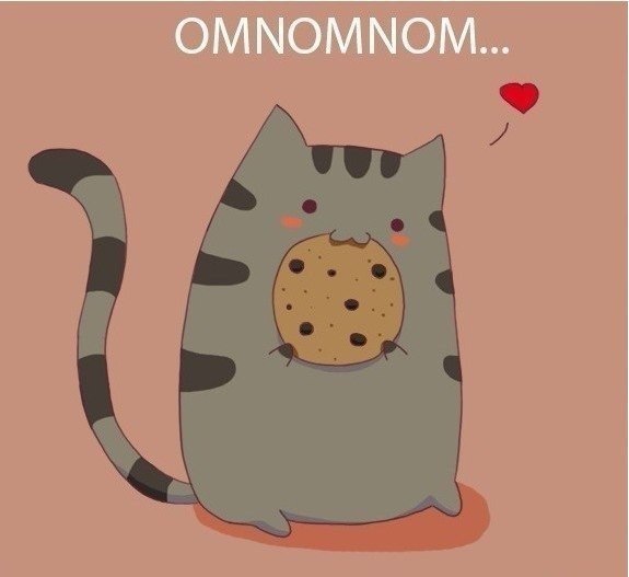 Карина Шавель