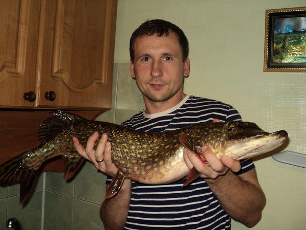 Неизвестно Неизвестно