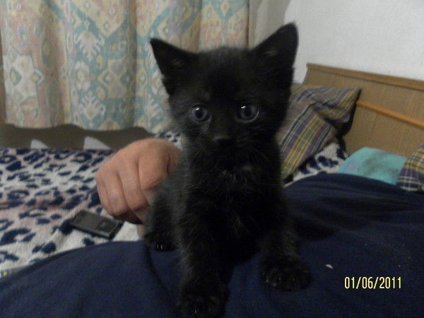 Анна Стёпичева