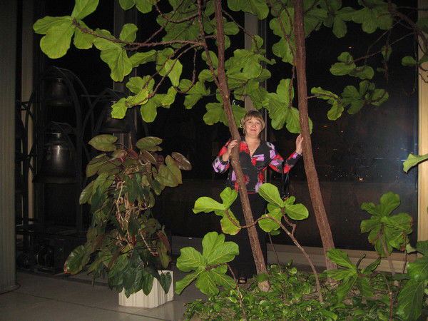 Елена Козарь