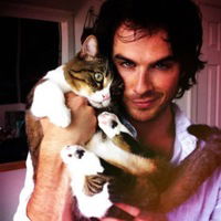 Света Терехина