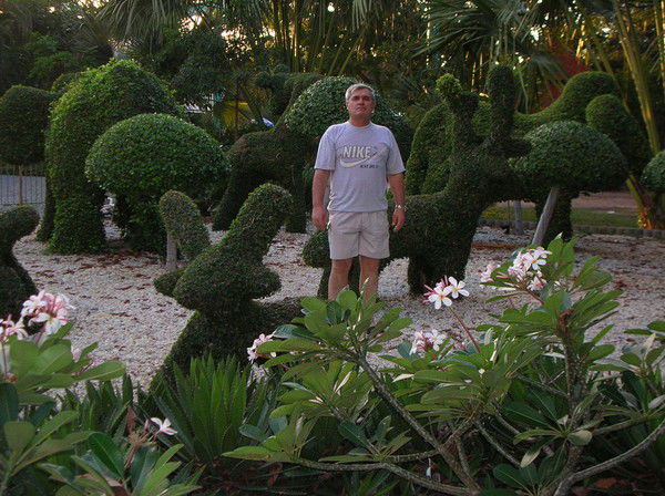 Дмитрий Евдокимов