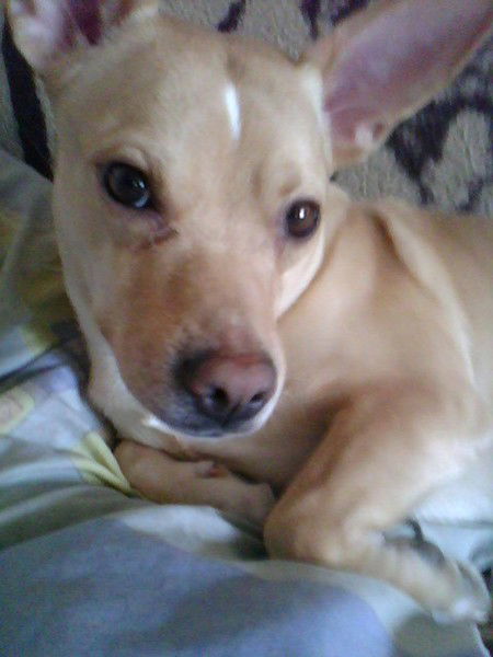 Андрей Новиков