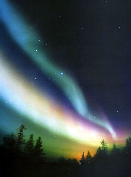 Алексей Окороков