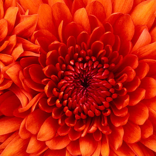 Ксения Стаценко