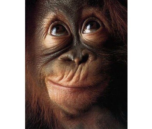 Владислав Ломзин