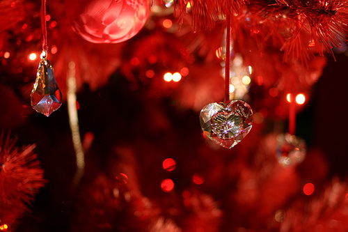 Елена Степанова