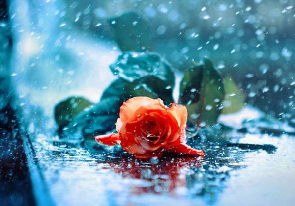 Арайлым Шугаева