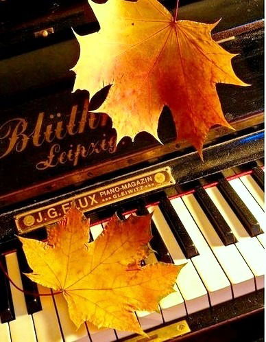 Сухраб Сайфуллаев