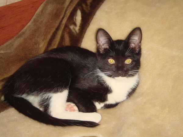 Наталья Рослякова