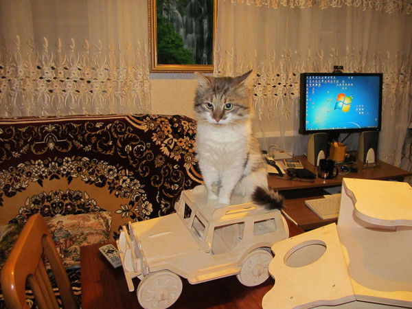 Вячеслав Волков