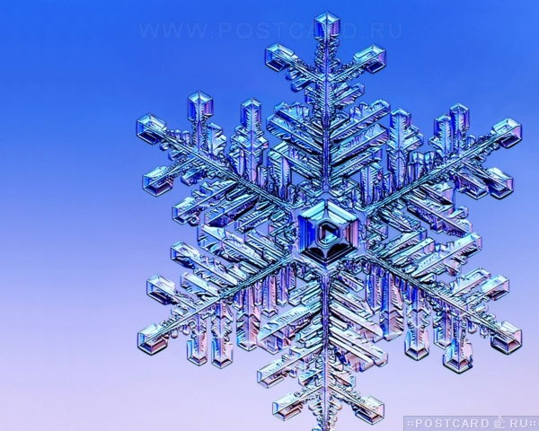 Александр Шмидт