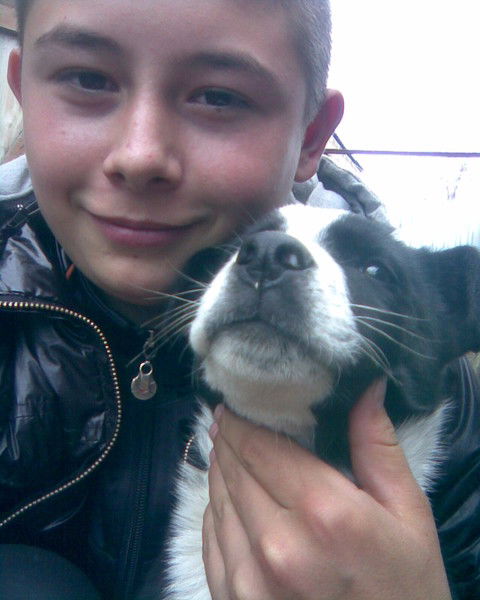 Vladimir Novokreshenov