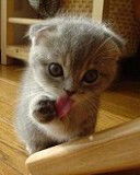 Наталья Курамжина