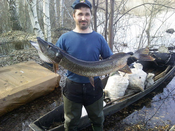 Александр Арефьев