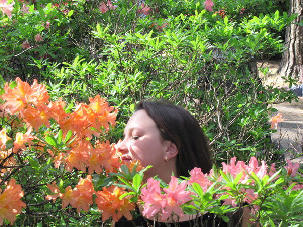 Елена Сысоева