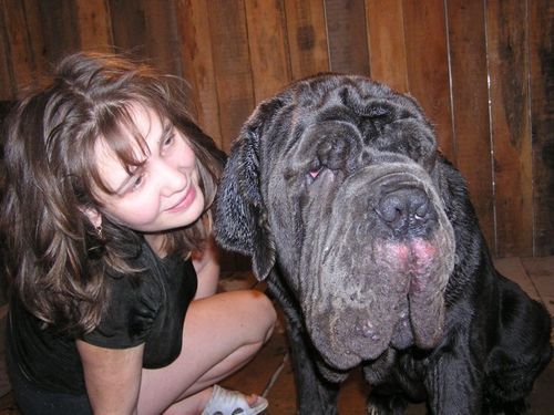 Молосс Тумен