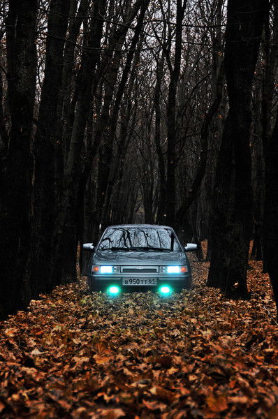 Камбулов Андрей