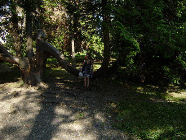 Наталья Рекечинская