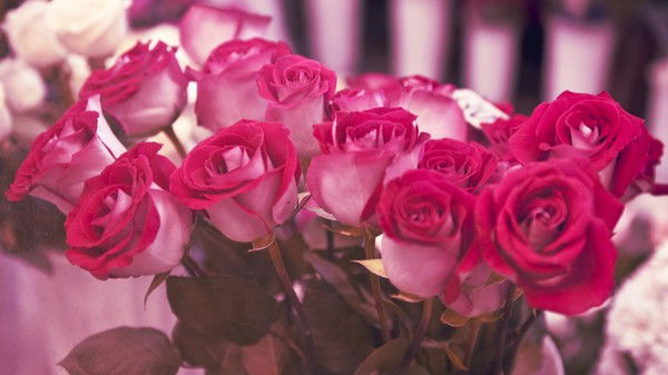 Ирина Михеева