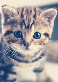 Гулина Баратова