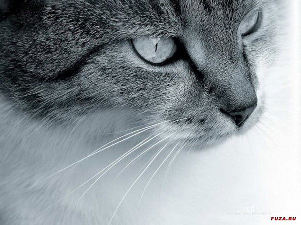 Виктор Гуляев