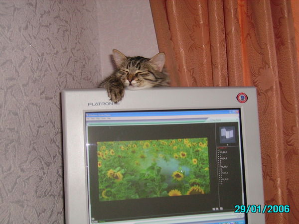 Вадим Кибалов