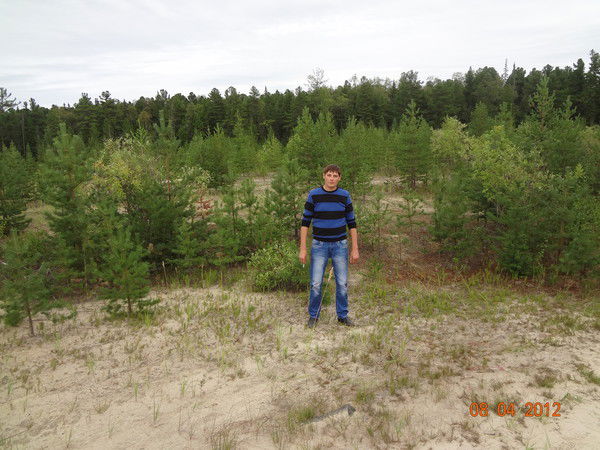 Николай Николай