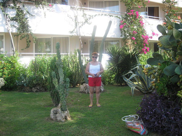 Таня Албаева