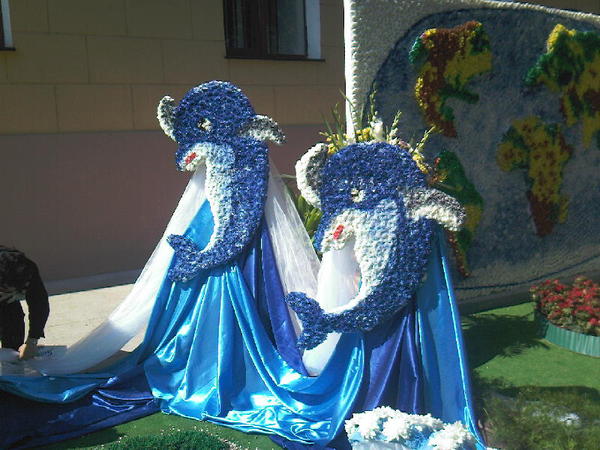 Света Притула(Левченко