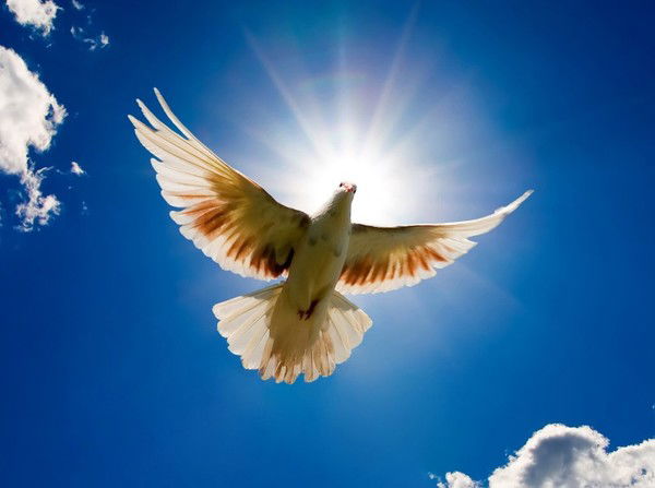 Мария Вяткина