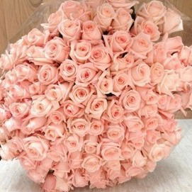 Акбота Сембек