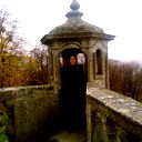 Ira Shapka