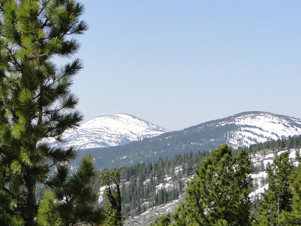 Яков Иконников