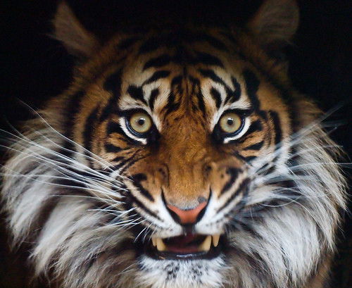 Евгений .луньков