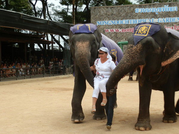 Нургайша Амренова