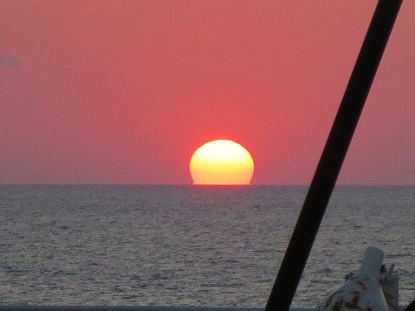 Татьяна Борисевич