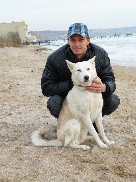 Александр Толстых