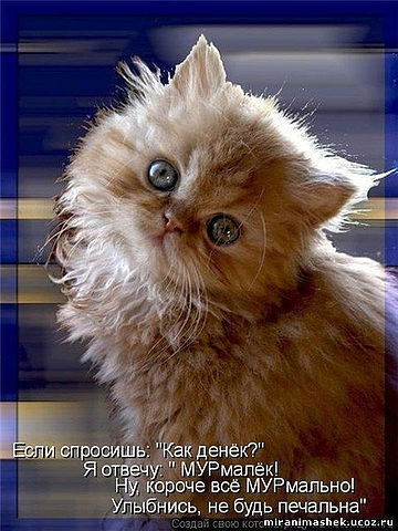 Татьяна Снапкова