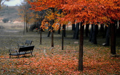 Алиев Эльбурус