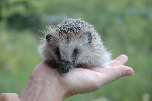 Татьяна Одинцова