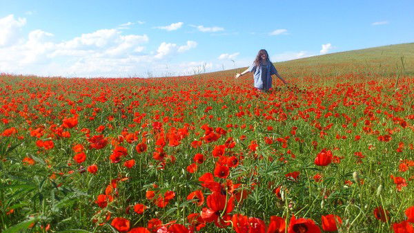 Любовь **************