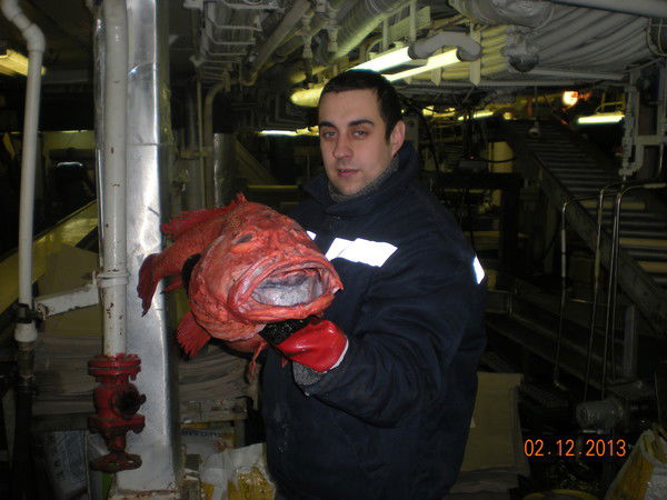 Юрий Вербицкий