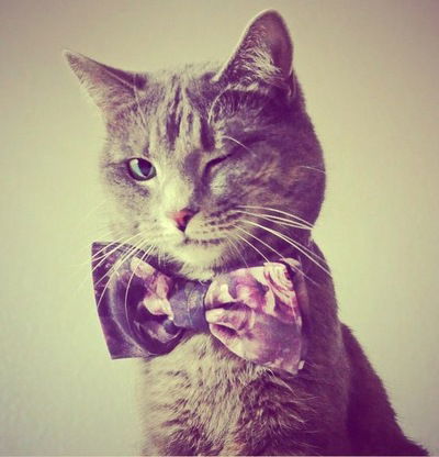 Илья Маггемаров