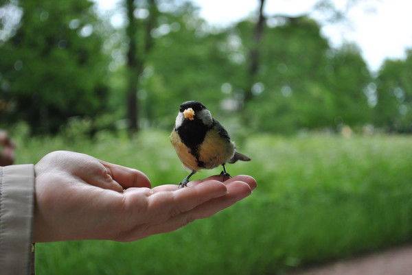 Татьяна Соколова